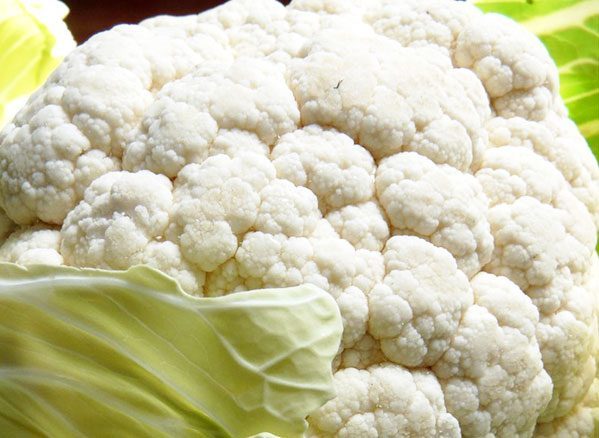 seasonal cauliflower vegetable cauliflower vegetable picture