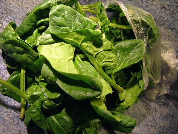 Help! How to Keep Spinach Fresh Longer?