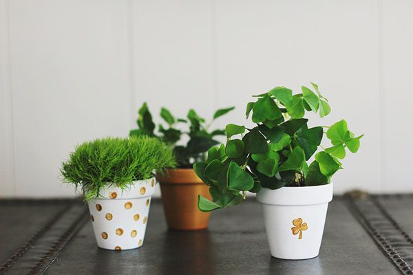 ST PATRICK&rsquo;S DAY CLAY POT PLANTERS