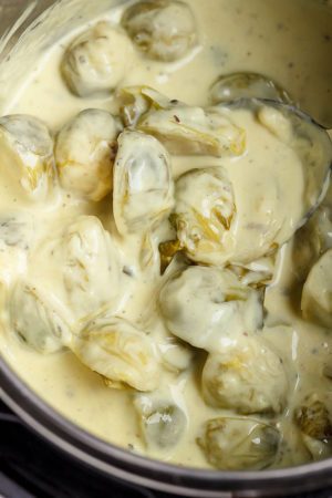 Instant Pot Creamy  Brussels Sprouts (2-Minutes )