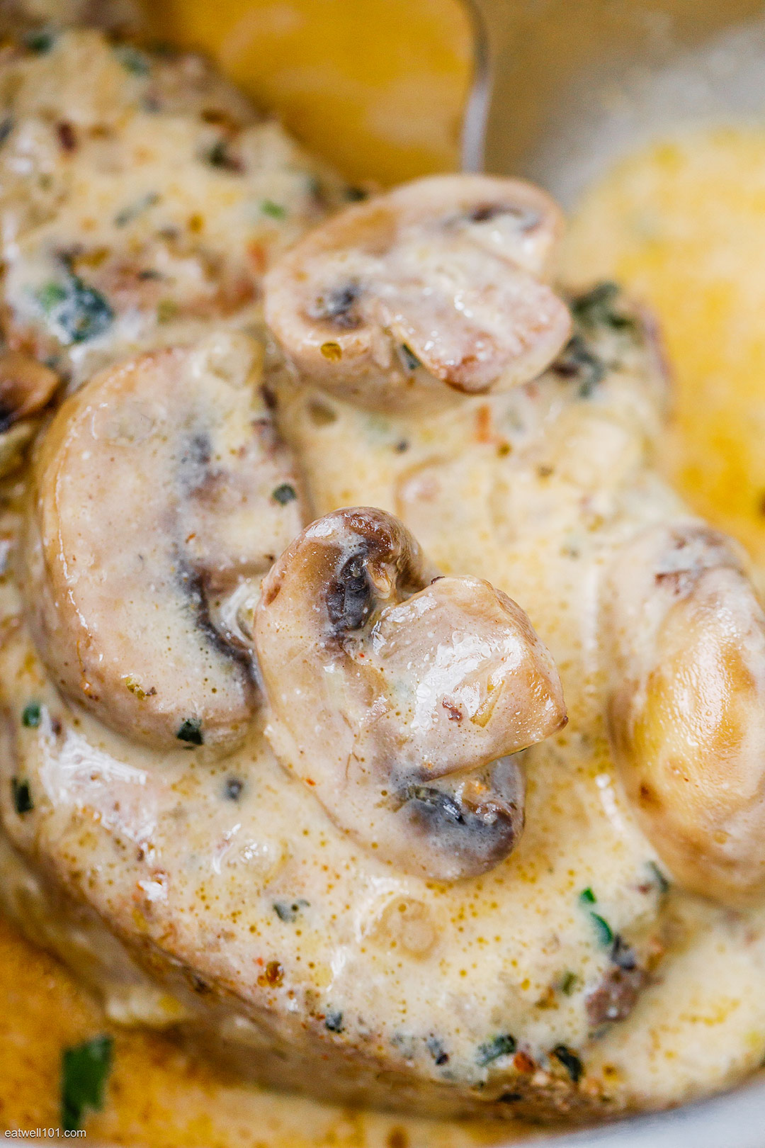 instant pork chops recipe