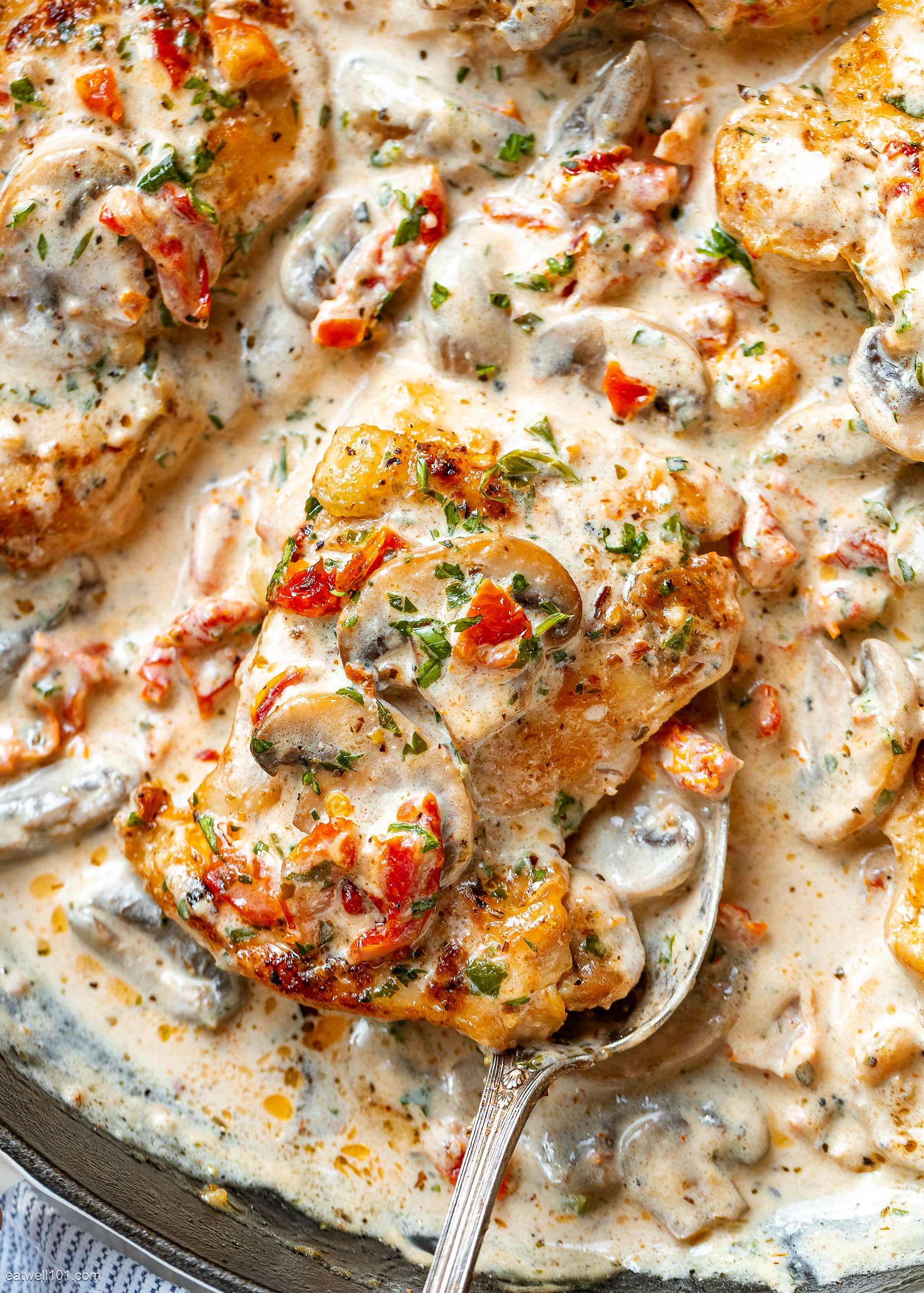 creamy mushroom chicken thighs recipe 1