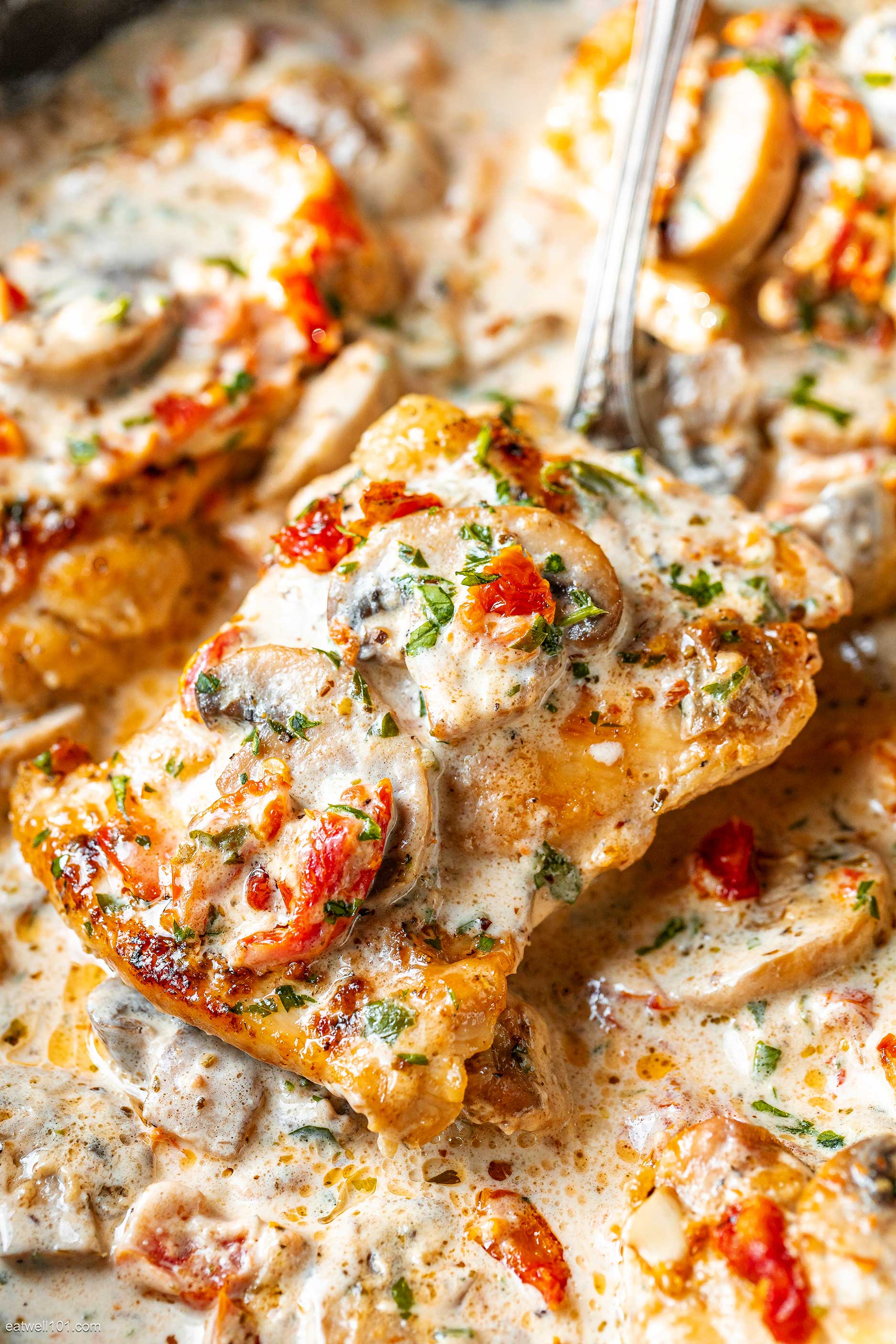creamy mushroom chicken thighs recipe 2