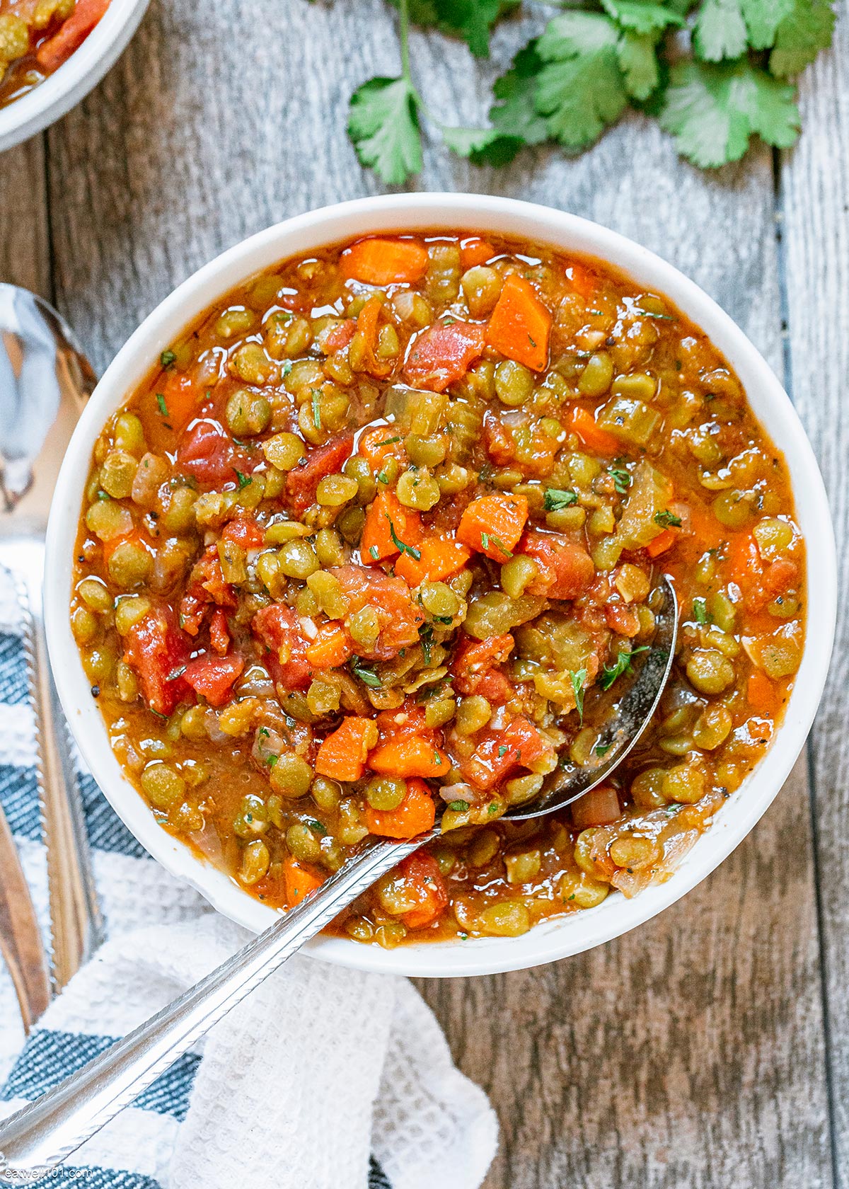 Instant Pot Split Pea Soup 2