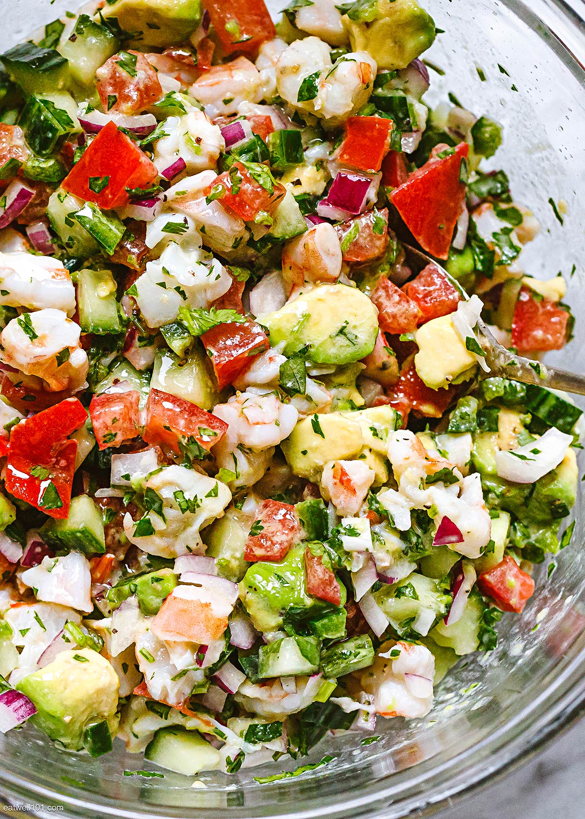 best shrimp ceviche