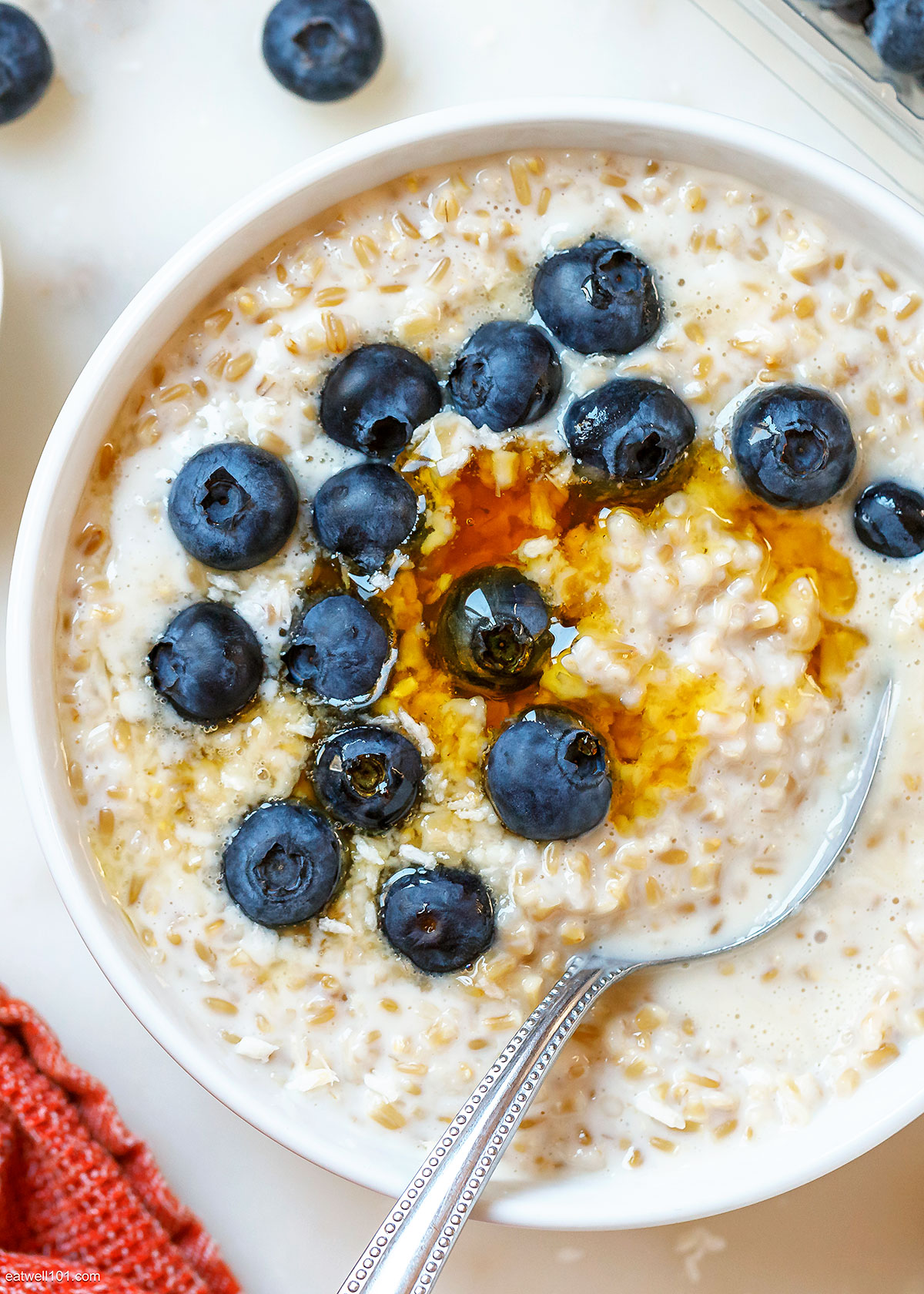 Coconut Instant Pot Steel Cut Oats Recipe 1