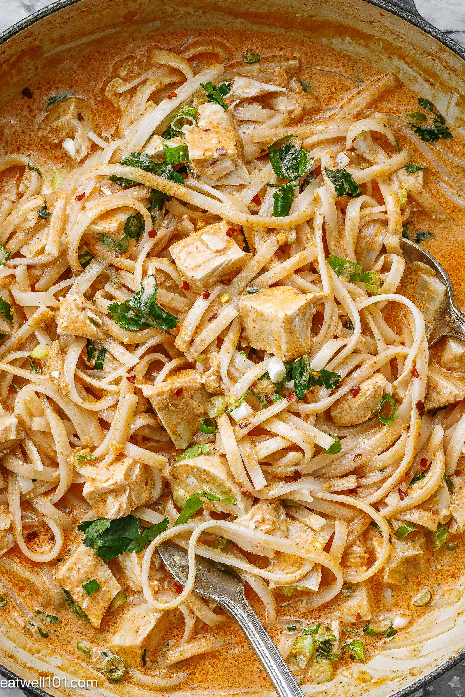 homemade Chicken Noodles